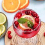 Cranberry Spritzer Mocktail