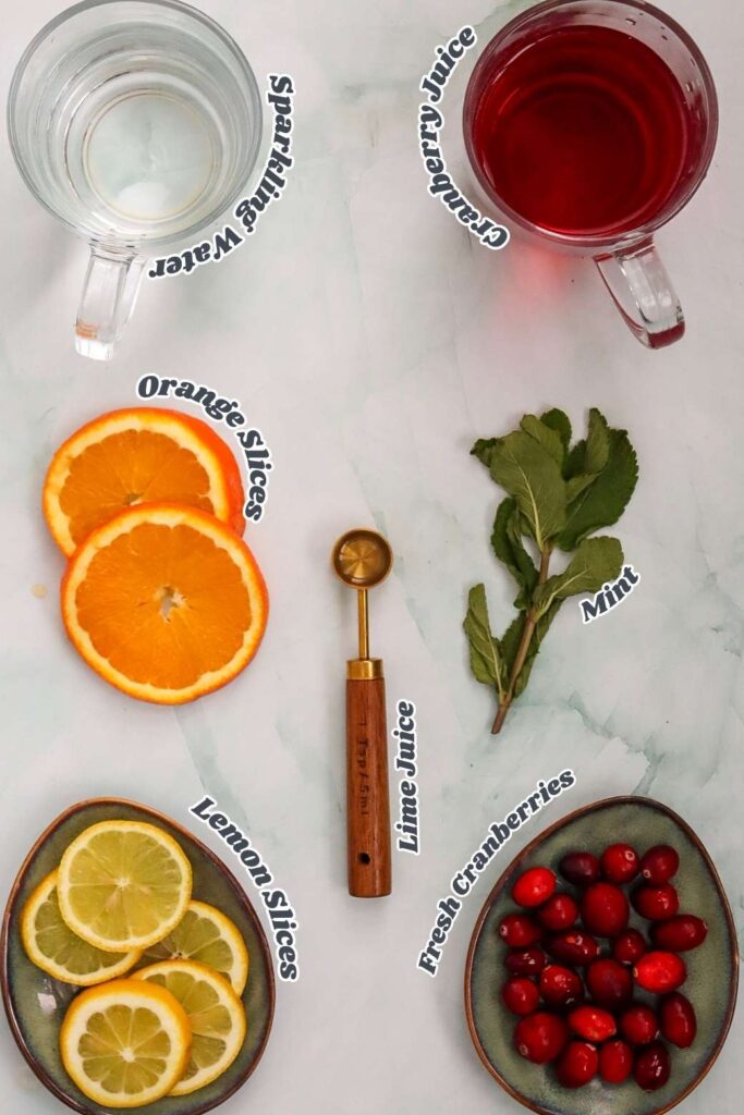 Cranberry Spritzer Mocktail