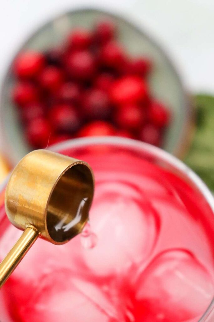Cranberry Spritzer Mocktail