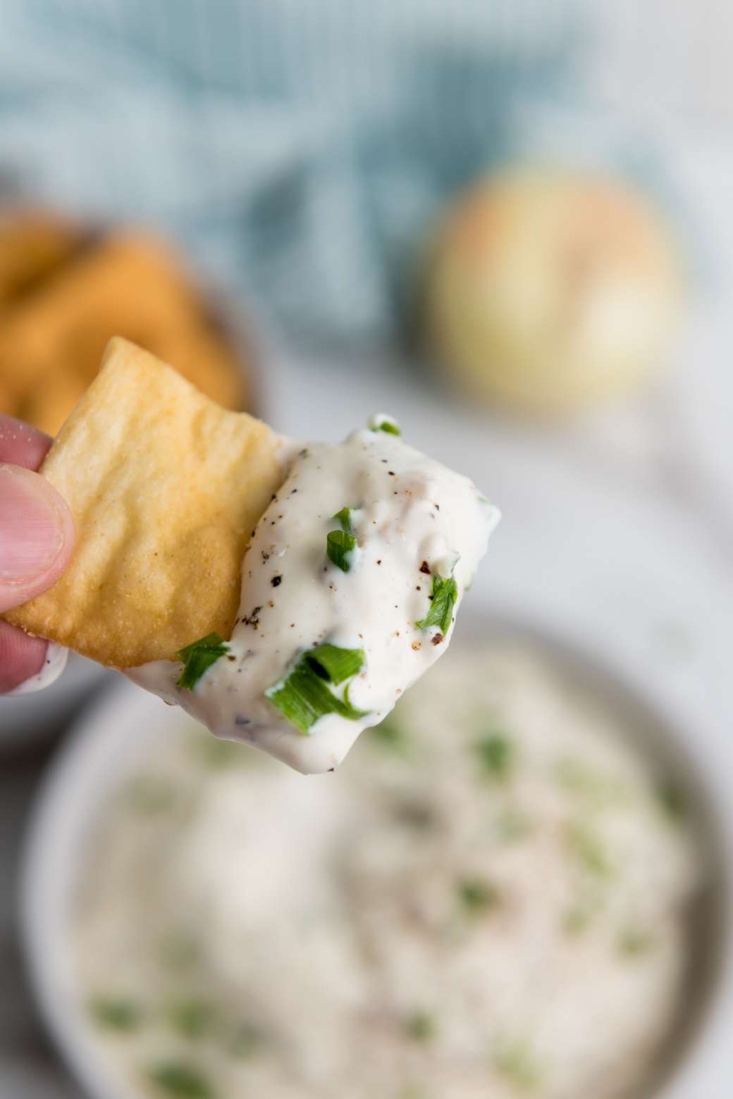 Caramelized onion dip