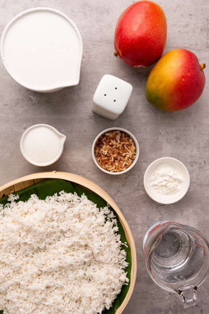Mango sticky rice 