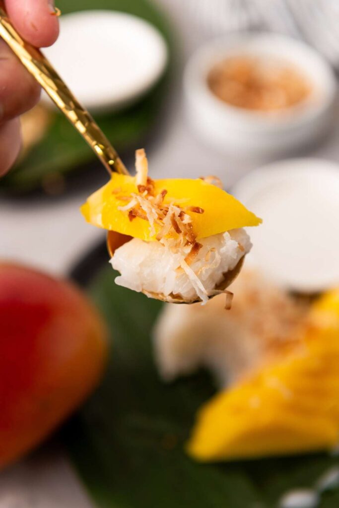 Mango sticky rice 