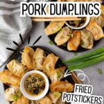 Pan fried pork dumplings