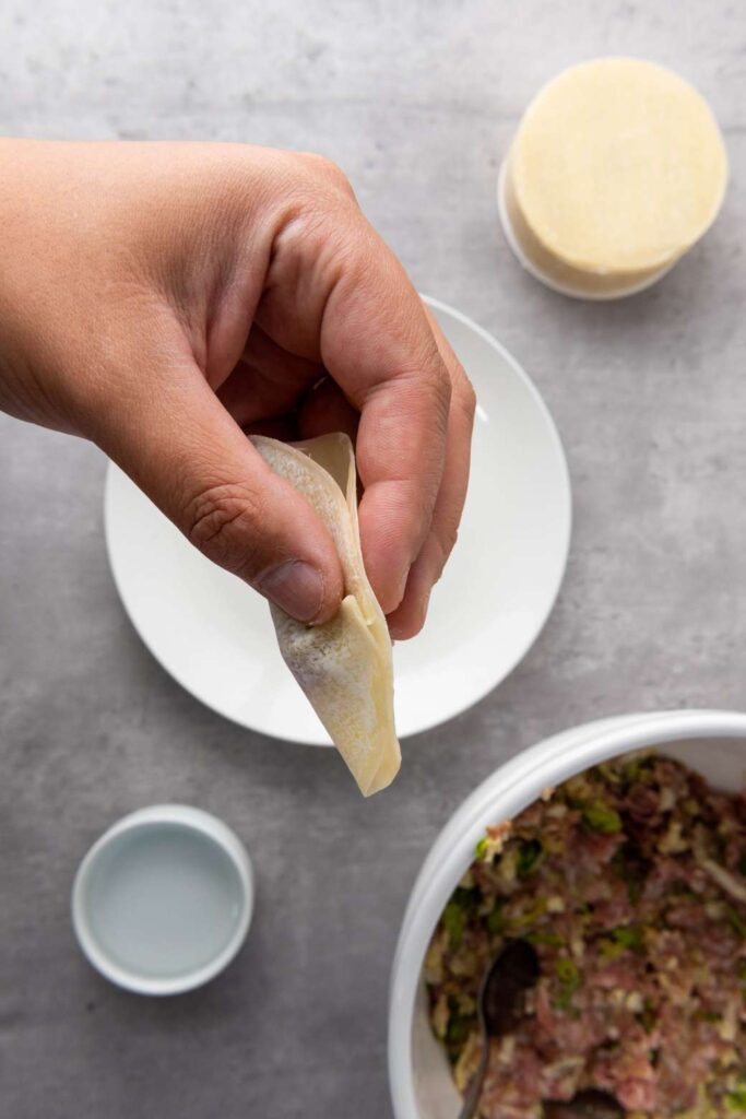 Pan fried pork dumplings