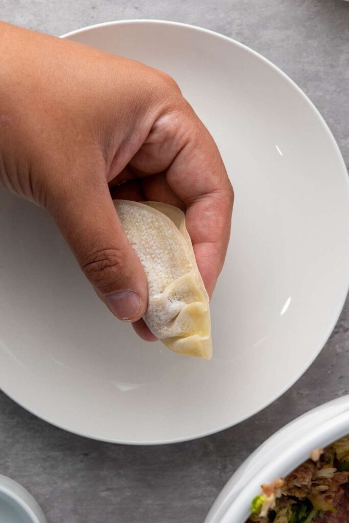 Pan fried pork dumplings