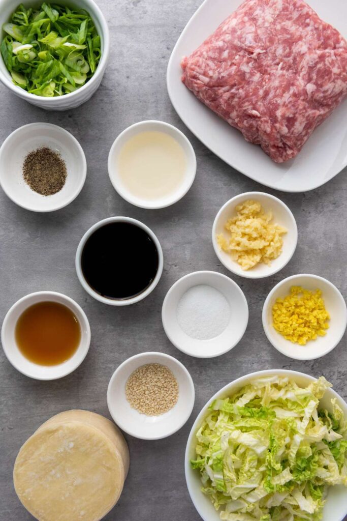 Pan fried pork dumplings