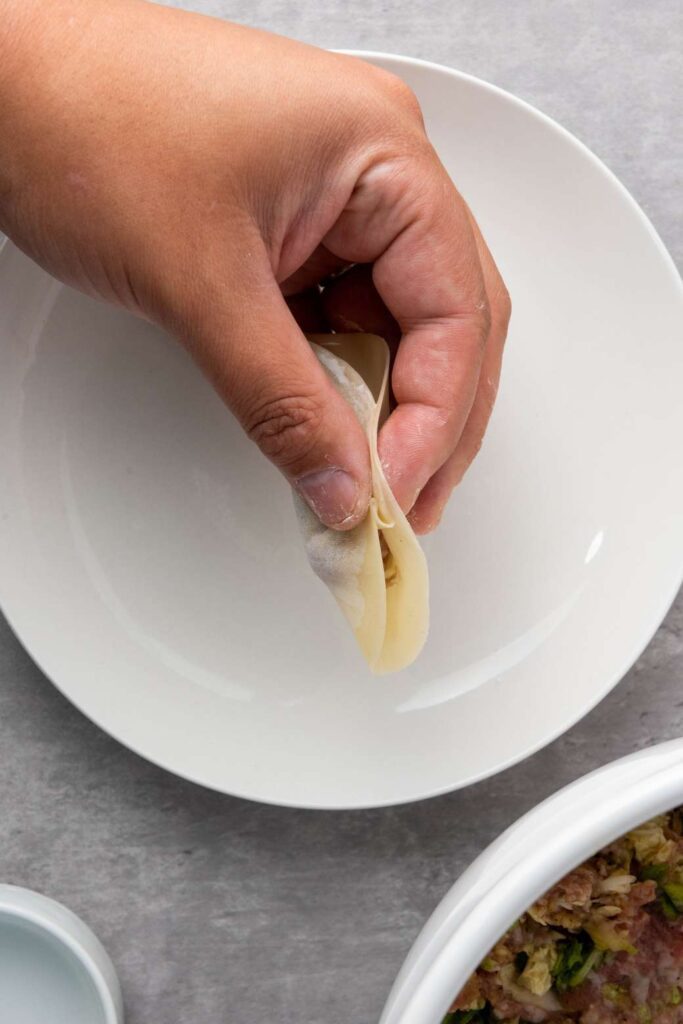 Pan fried pork dumplings