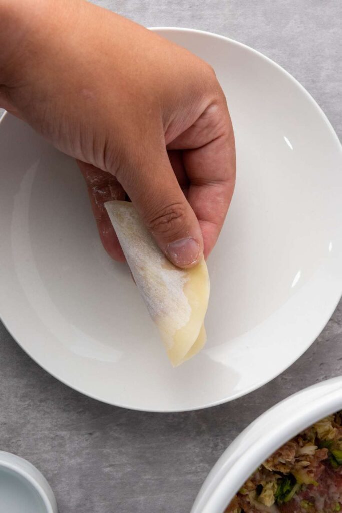 Pan fried pork dumplings