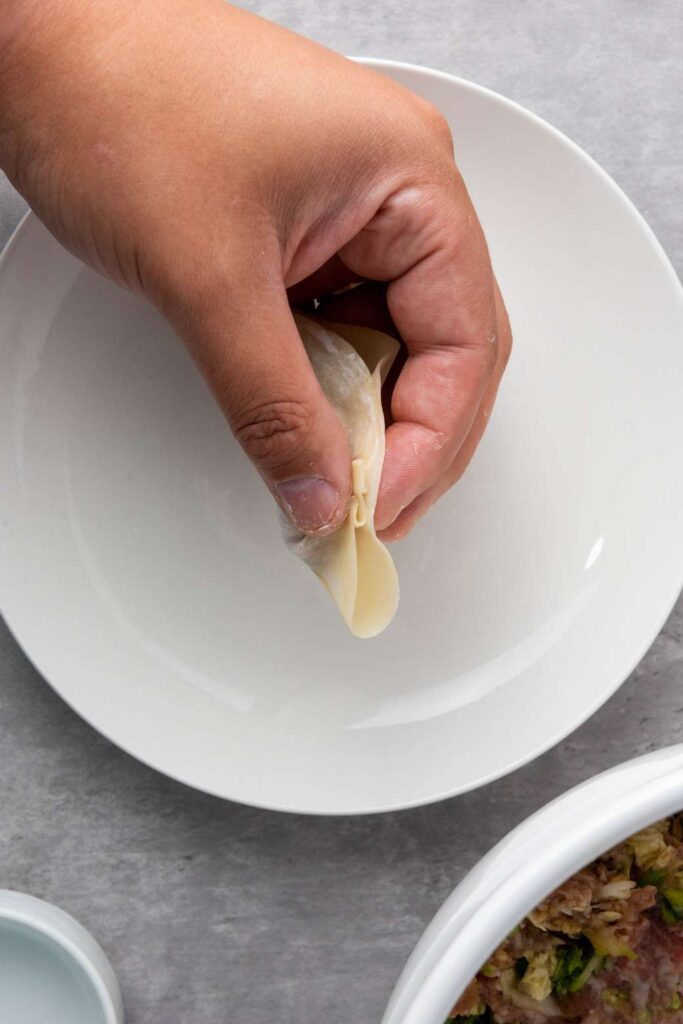 Pan fried pork dumplings