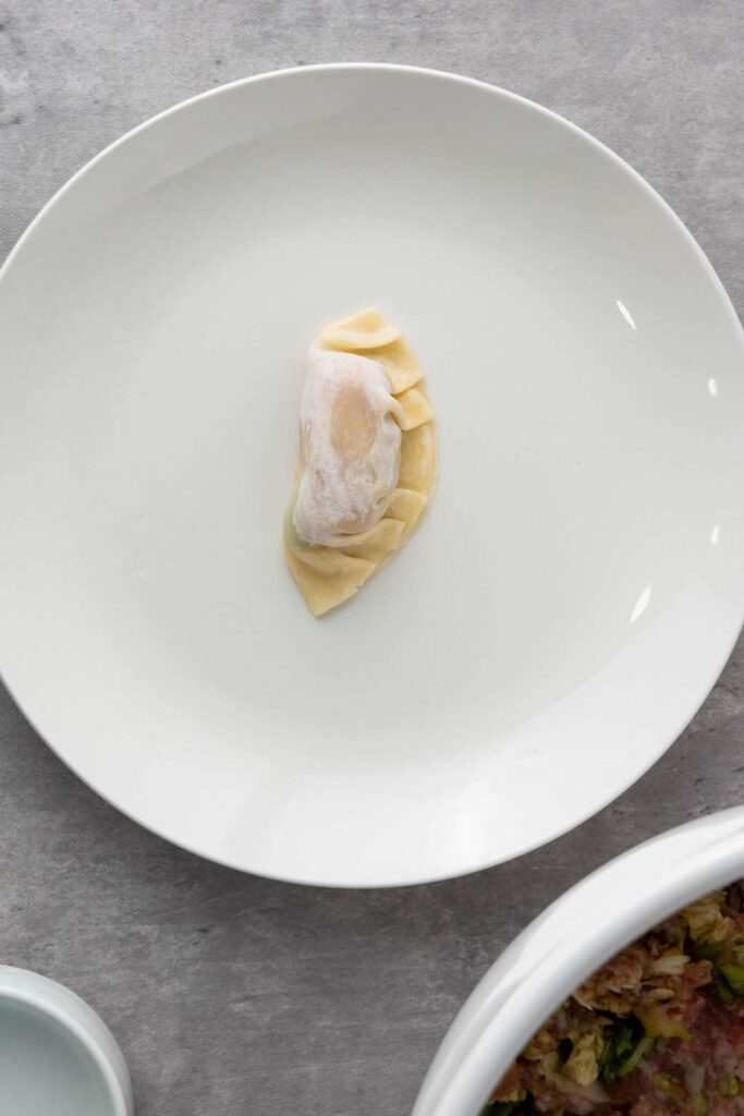 Pan fried pork dumplings 27