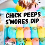 Chick peeps s'mores dip