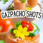 Gazpacho shots